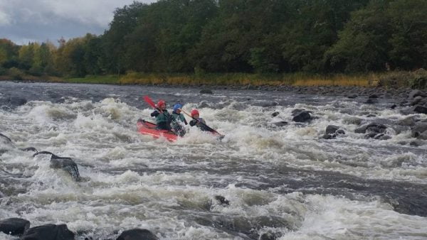 Duckies on the River Spey