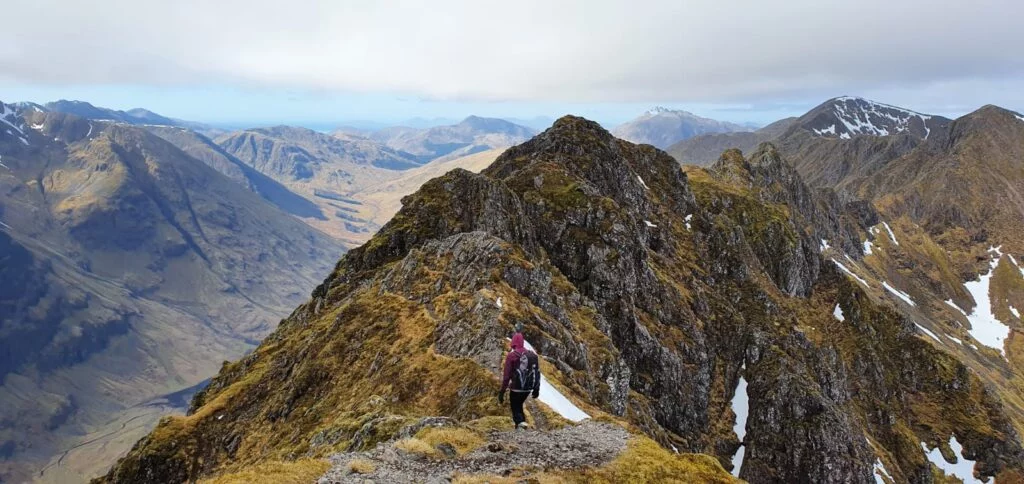 idp glencoe